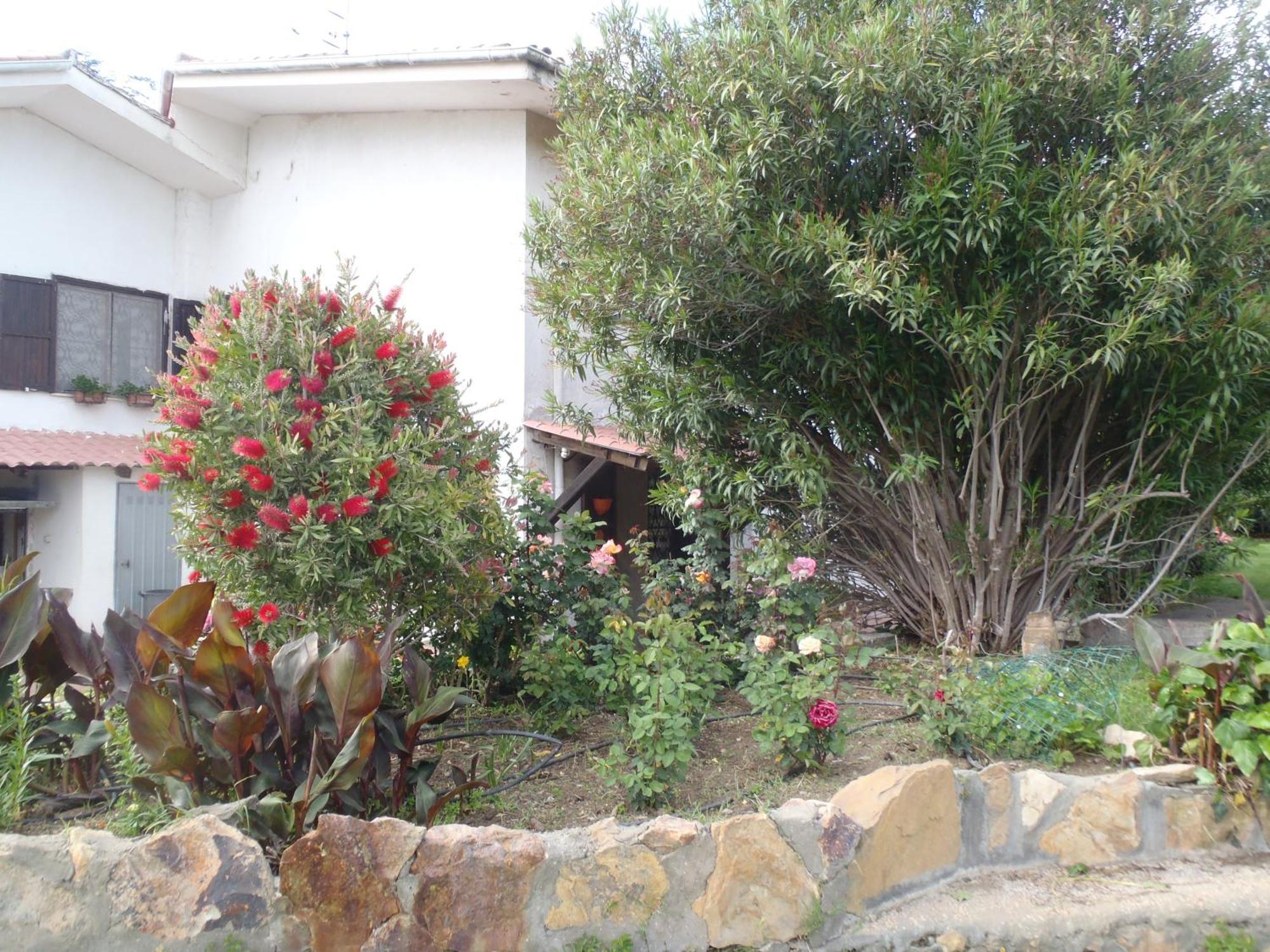 B&B Villa Sans Souci Civitavecchia Zewnętrze zdjęcie