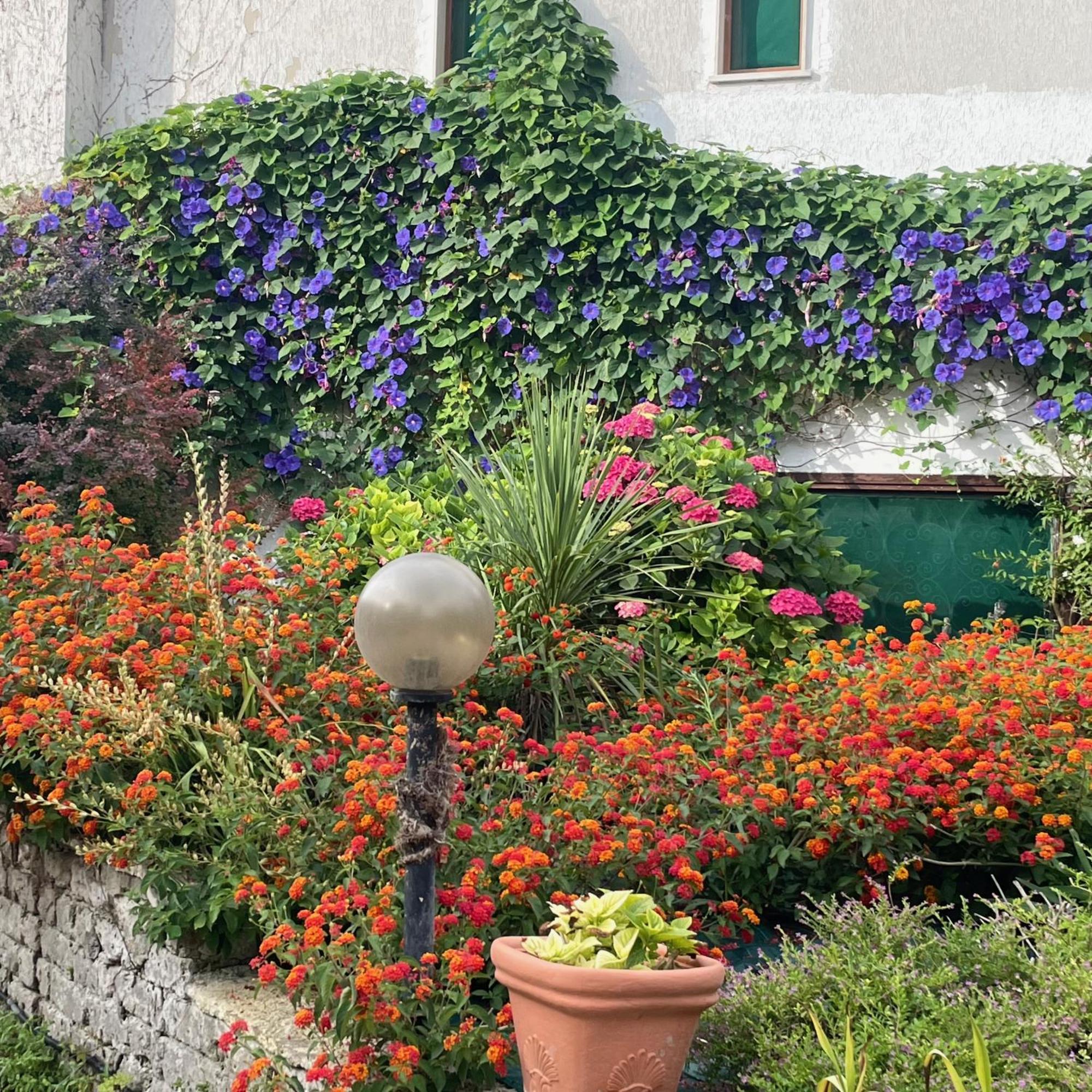 B&B Villa Sans Souci Civitavecchia Zewnętrze zdjęcie