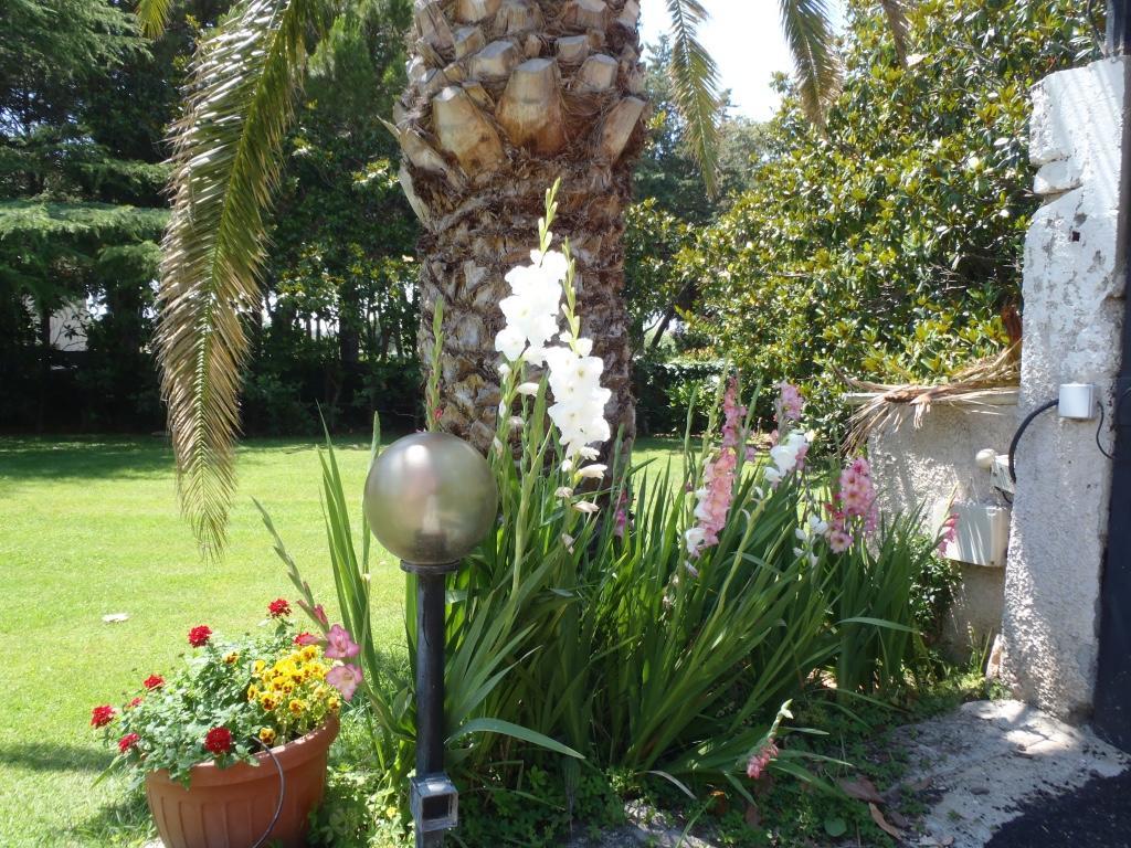 B&B Villa Sans Souci Civitavecchia Zewnętrze zdjęcie