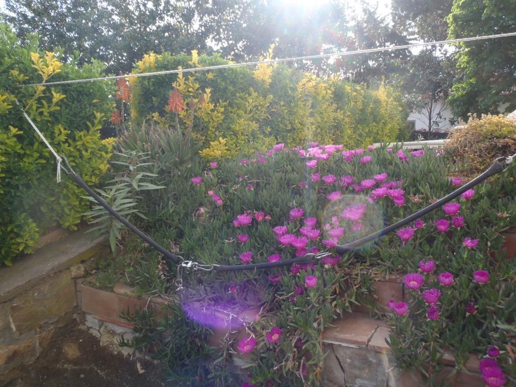 B&B Villa Sans Souci Civitavecchia Zewnętrze zdjęcie