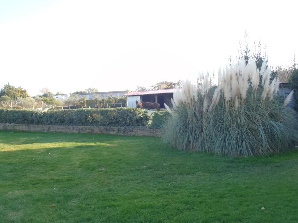 B&B Villa Sans Souci Civitavecchia Zewnętrze zdjęcie